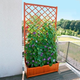 rankgitter-holz-180cm-rankhilfen
